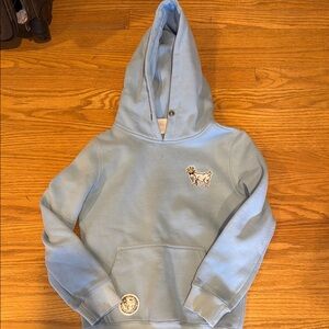 Kids Blue Hoodie with Embroidered Design